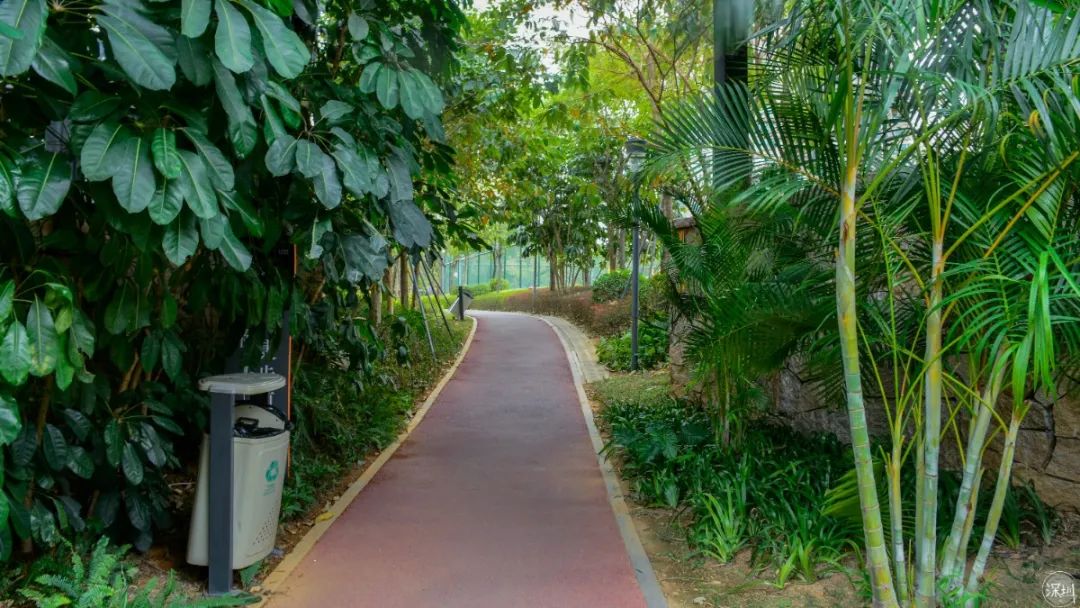 香蜜湖约会,香蜜湖真的要再见了吗