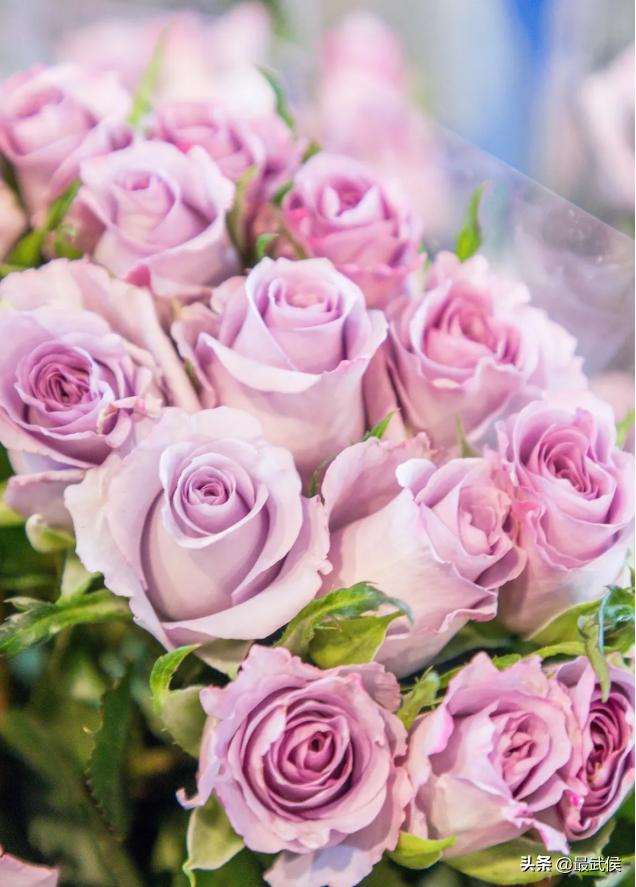 成都便宜的大花市,成都街边卖花一元一束