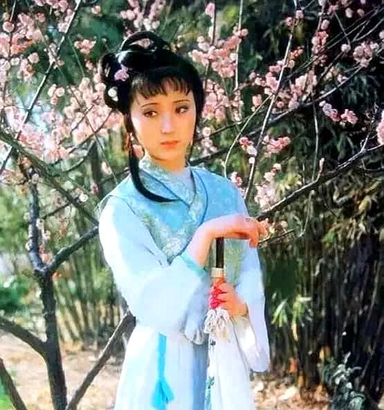 红楼梦插曲葬花吟花谢花飞花满天,红楼如梦葬花吟