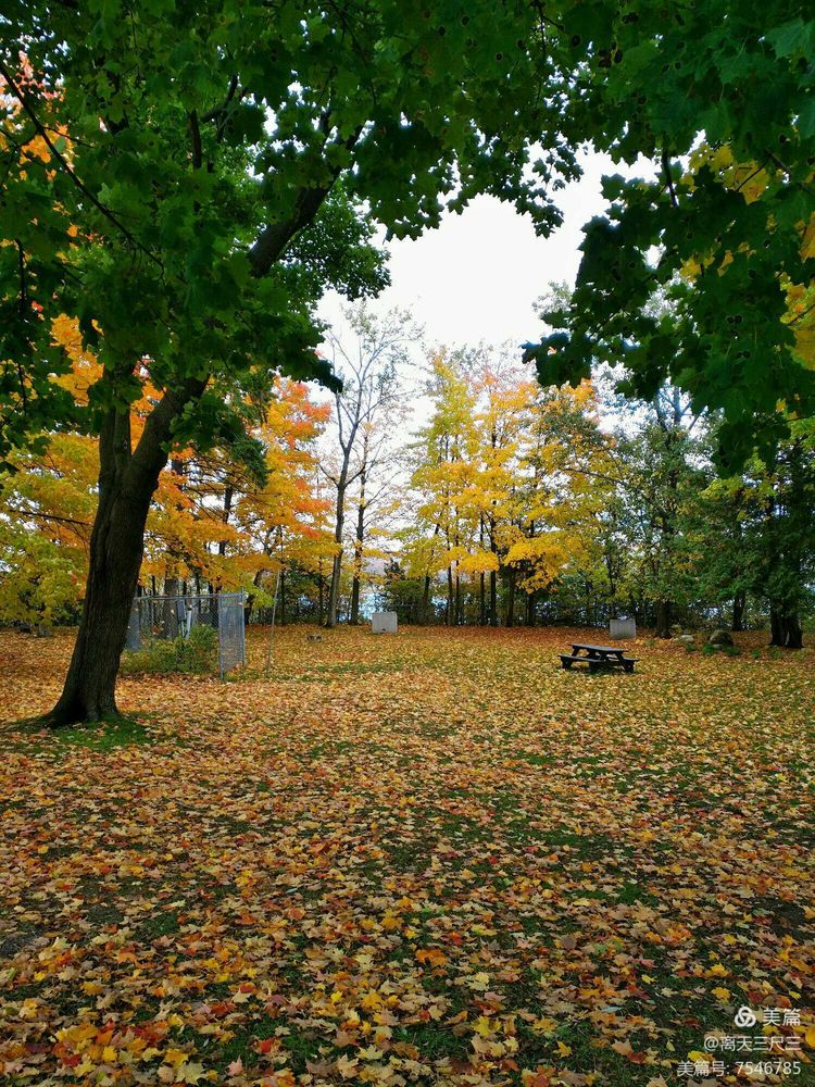 漫步魁北克体验不一样的北美风情,北美枫情蒙特利尔