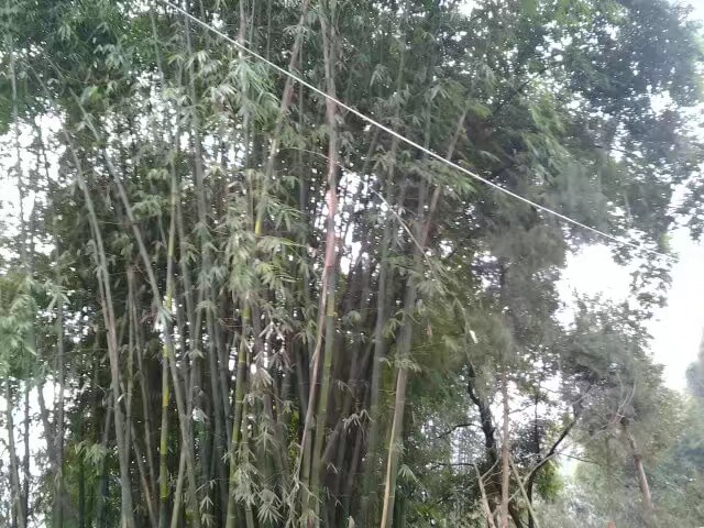 手机免费修复老照片软件,老照片扫描到手机