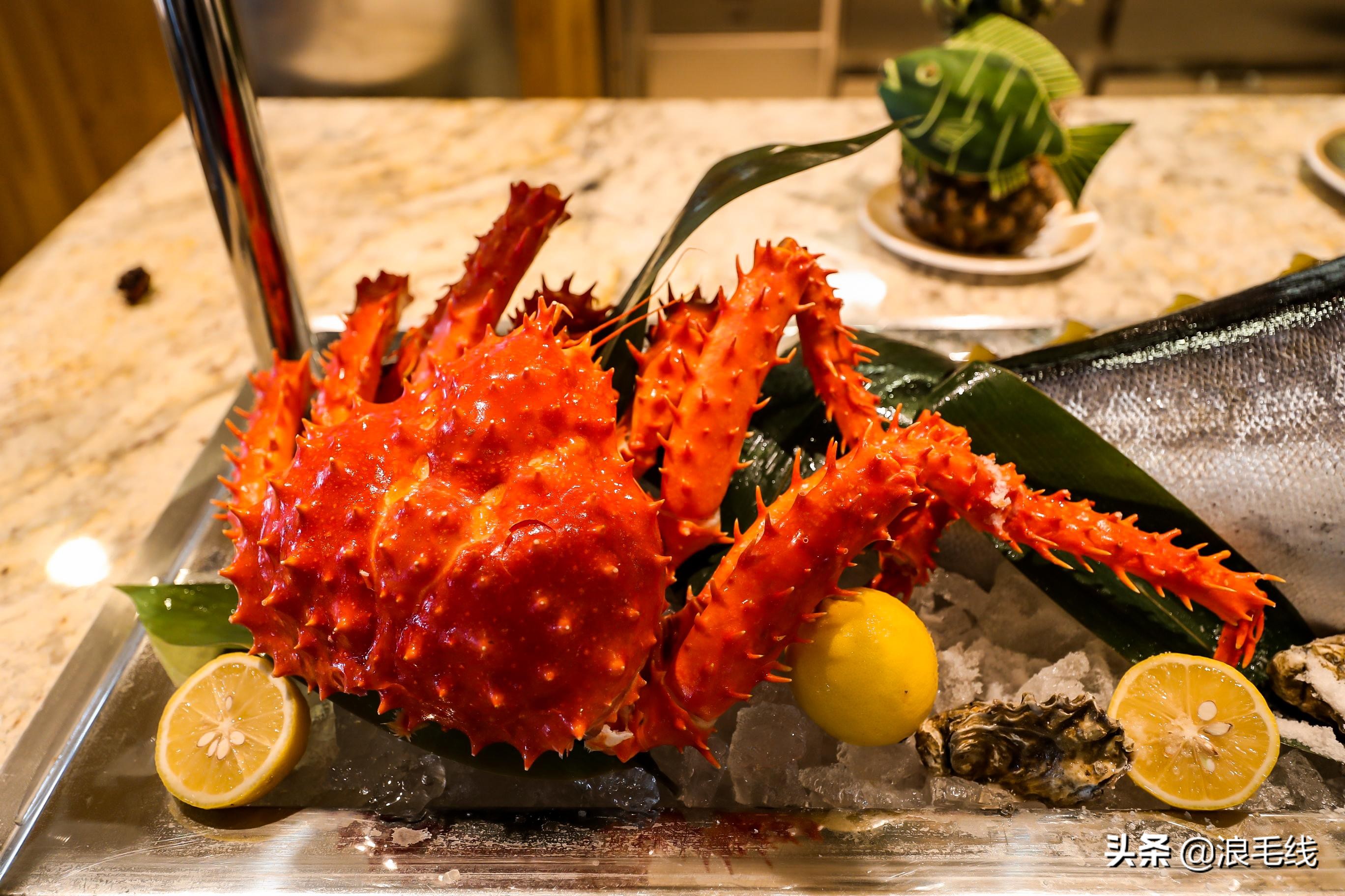 趁你还年轻，趁他还未老，我的8天7晚光谱号游轮行