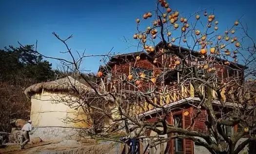 青岛周边古村落景区,青岛古村落旅游景点