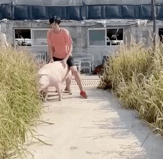 从跳高冠军到网红,张国伟已忘记2米39的一生追求了吗?拼命想红的他撂了国家队的挑子,但他的选择值得尊重