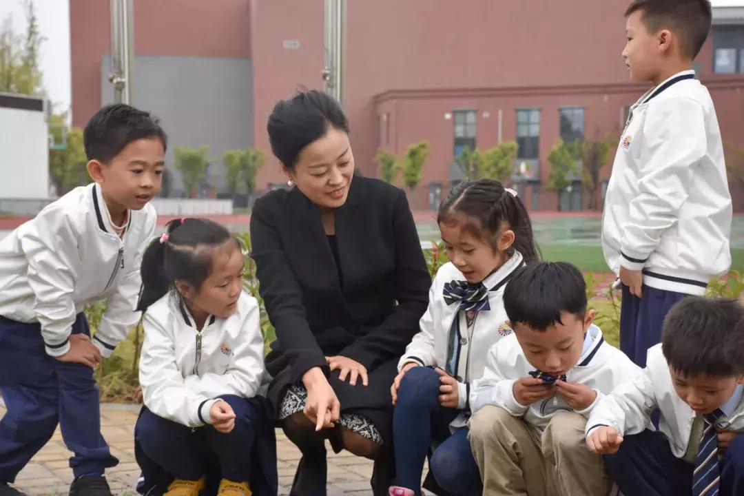 别人家的学校,天府七小和元音小学哪个好