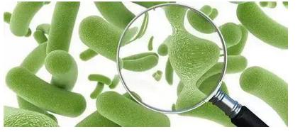 孩子乳糖不耐受妈妈应注意啥饮食,儿童乳糖不耐受喝什么奶粉