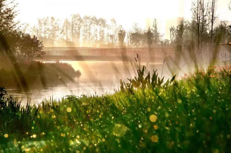 青白江十大健身地,青白江体育