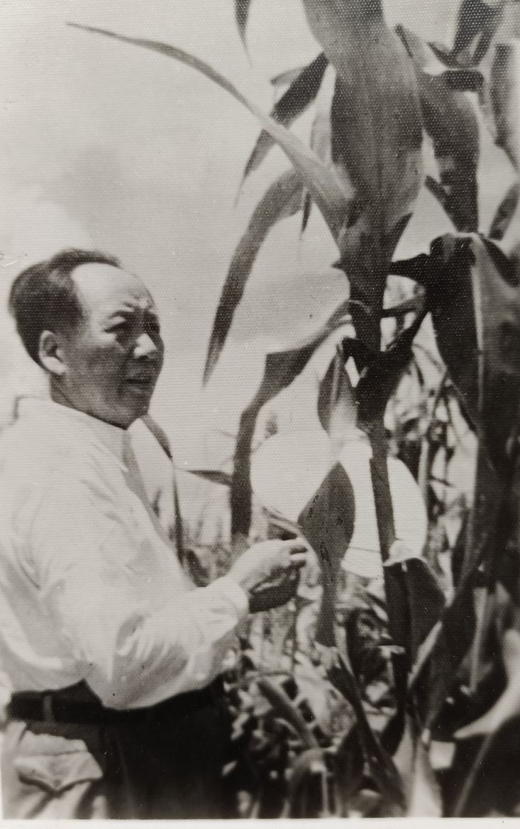 毛主席视察河北安国纪实