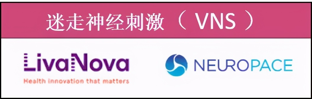 神经调控技术发展前景,神经调控前沿疗法