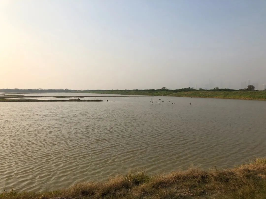 香港西贡禁区,香港西贡区禁区