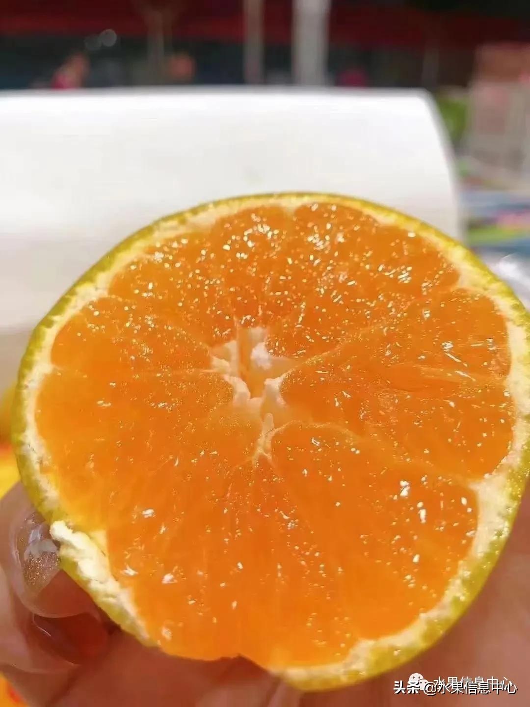 我国柑橘产区分布,柑橘产地行情