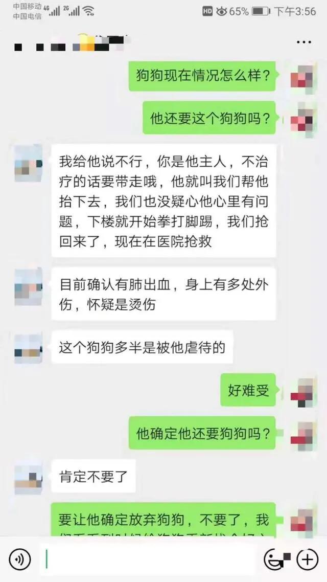 金毛被男子疯狂虐待，志愿者被威胁报复，有些人内心到底有多黑暗
