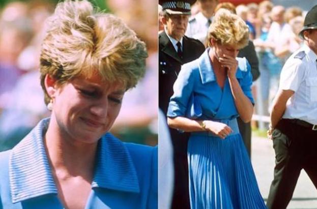 威廉哈里王子揭开戴安娜雕像,戴安娜王妃雕像威廉