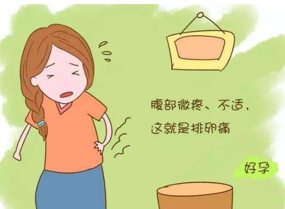 月经不规律排卵期怎么计算,月经不规律排卵期怎么判断