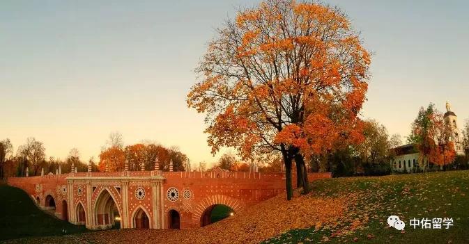 莫斯科春夏秋冬,莫斯科的秋天和冬天