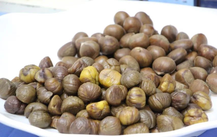 穿越城市世界巡回赛唐山站,世界巡演唐山站