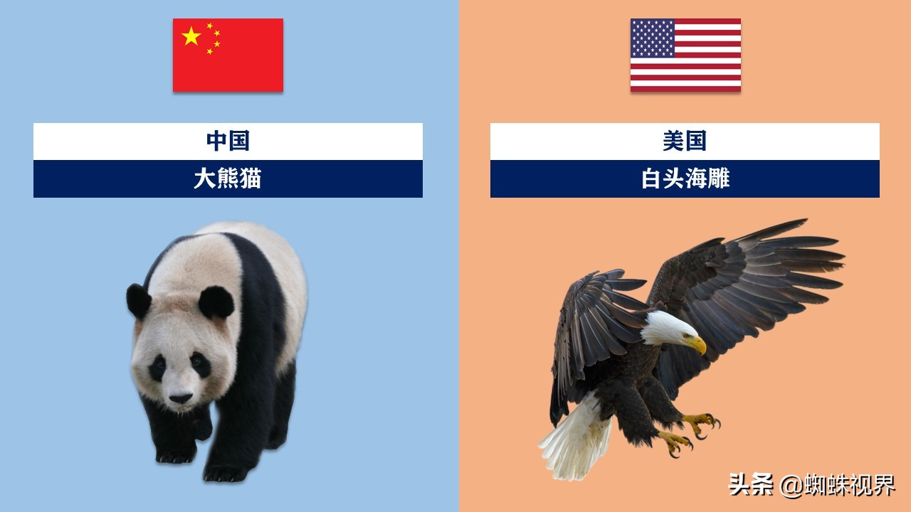 60秒认识中国55项世界遗产,世界各国的代表动物分别是