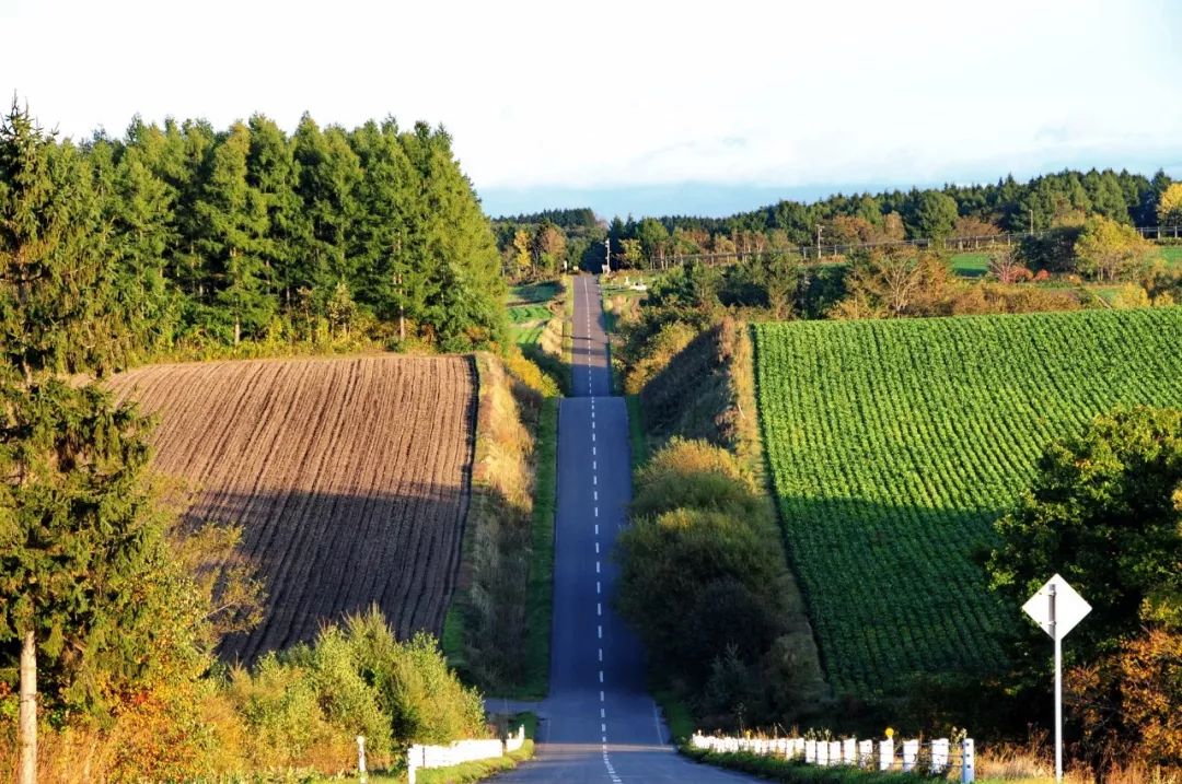 一封来自日本的信--日本社会和生活水平现状