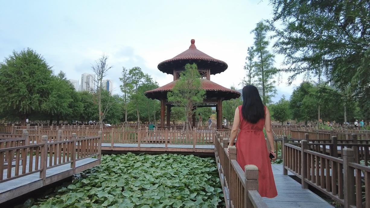 一处清净之地,五缘湾湿地公园风景如画