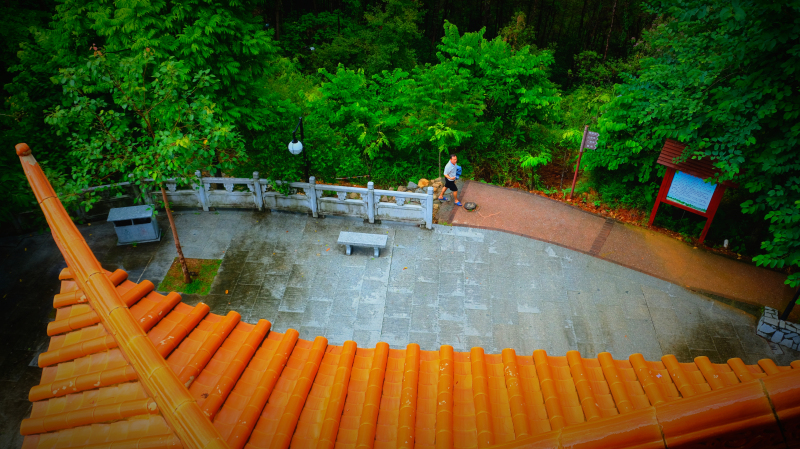 云浮南山森林公园锦鸡,云浮南山森林公园航拍