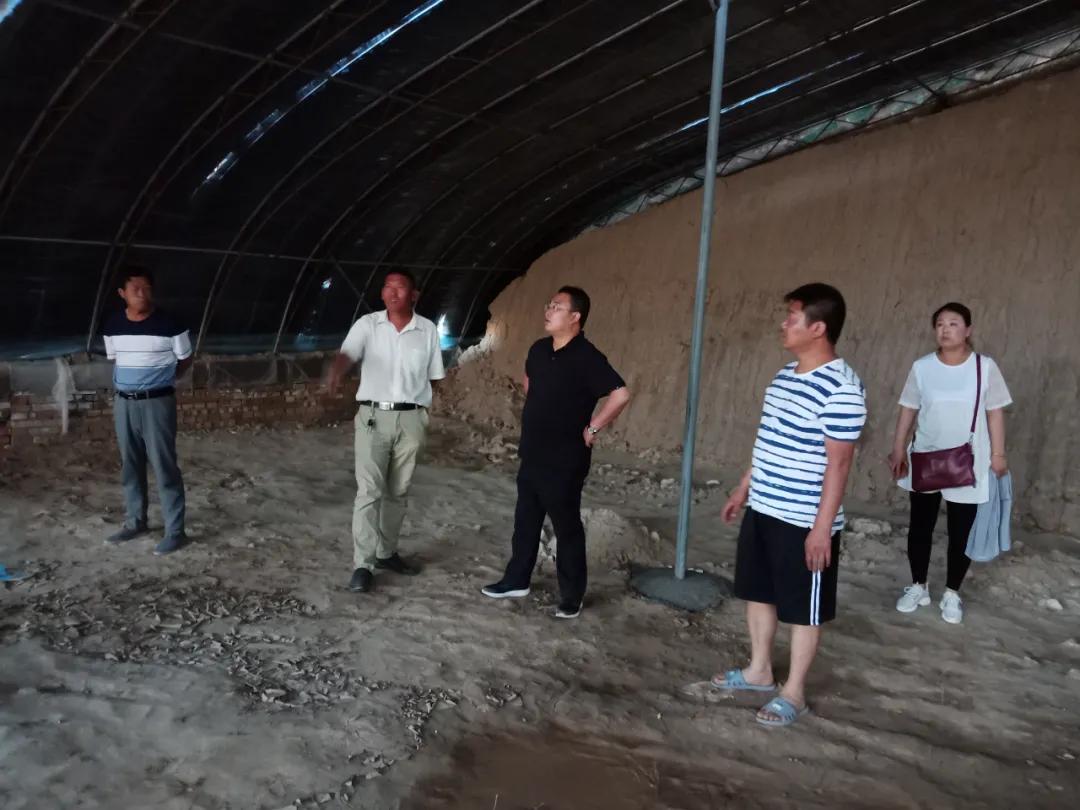 真好！一年挣一百多万元。阳原这个地方的人钱袋子鼓起来了