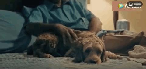 谢谢你治好了我的心脏,谢谢你治好了我的低血压