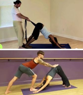 初学者怎么练下犬式,如何练习下犬式