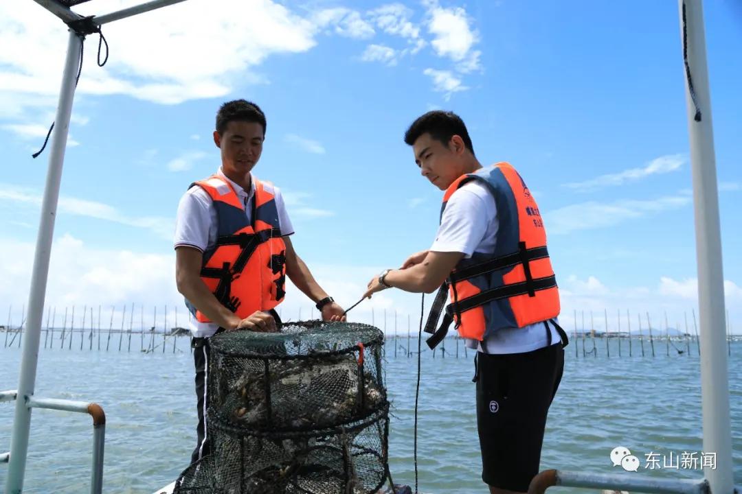 海上去哪玩,东山岛海边哪里有螃蟹抓