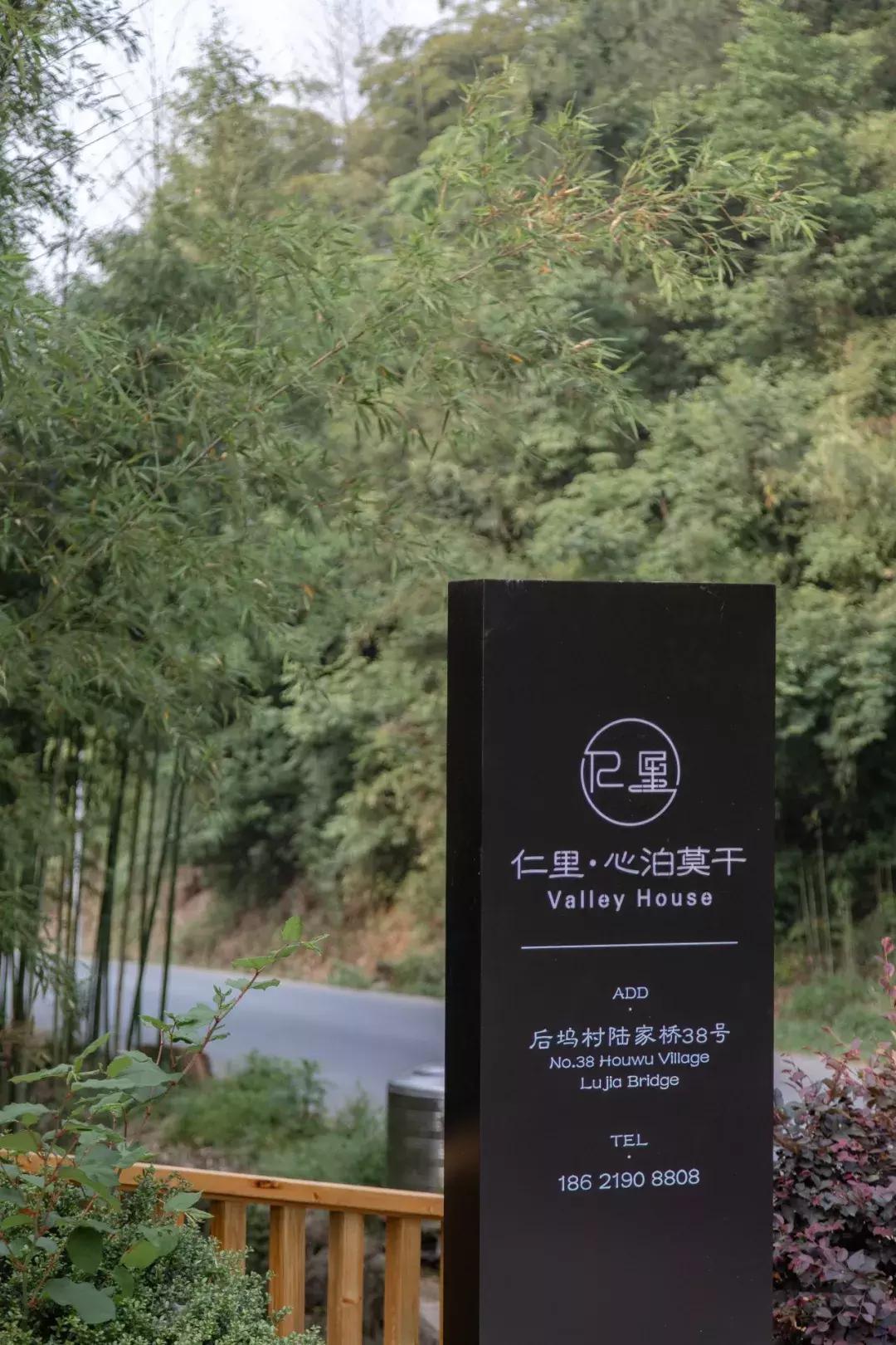 深山废弃的五星级酒店,一个被7万亩竹海包围的树屋酒店