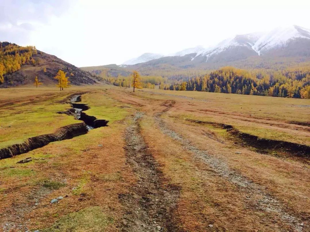 抖音做完酒店，又开始做旅行社“*梦春**”