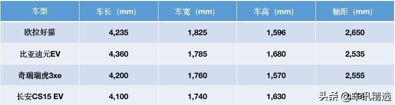 这有一只“好猫”登陆厦门，欢迎来“撸”