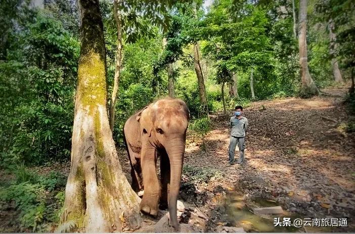 最好的风景在路上云南,有一种山叫云南的山