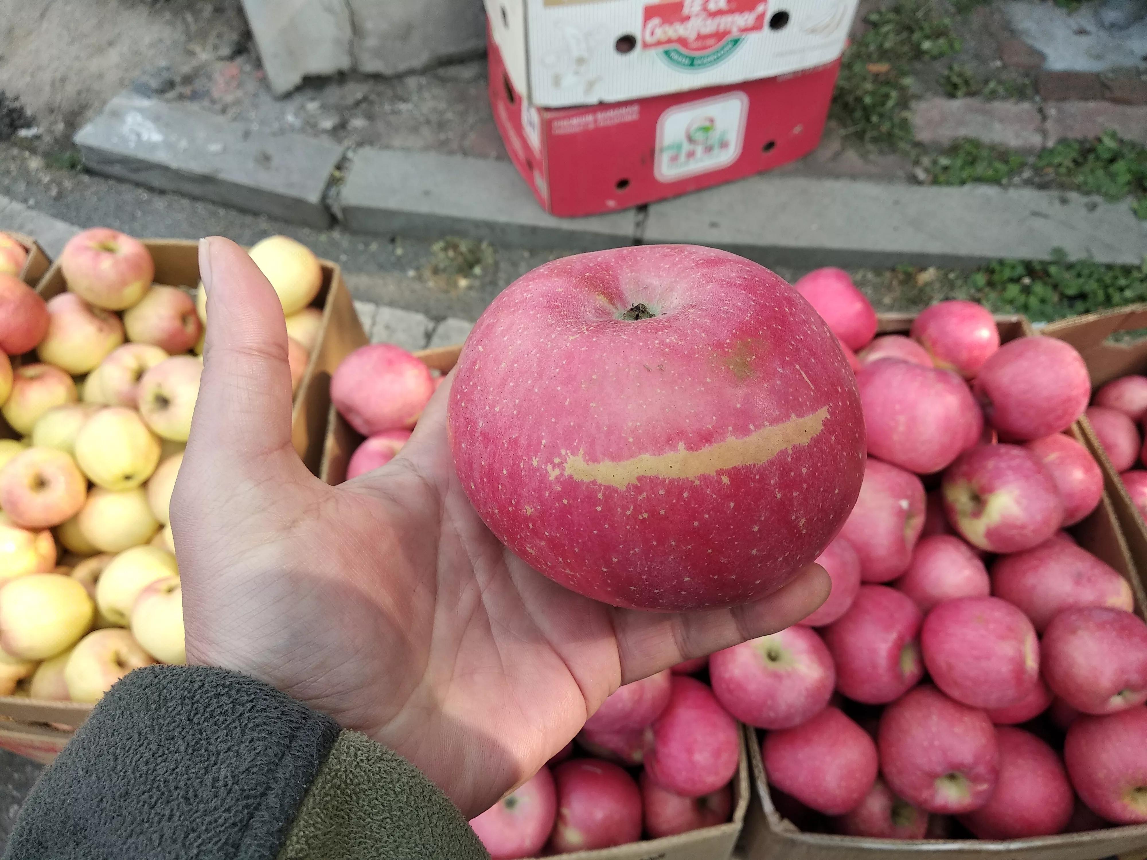 苹果应该买哪种品种,买苹果选哪种好吃