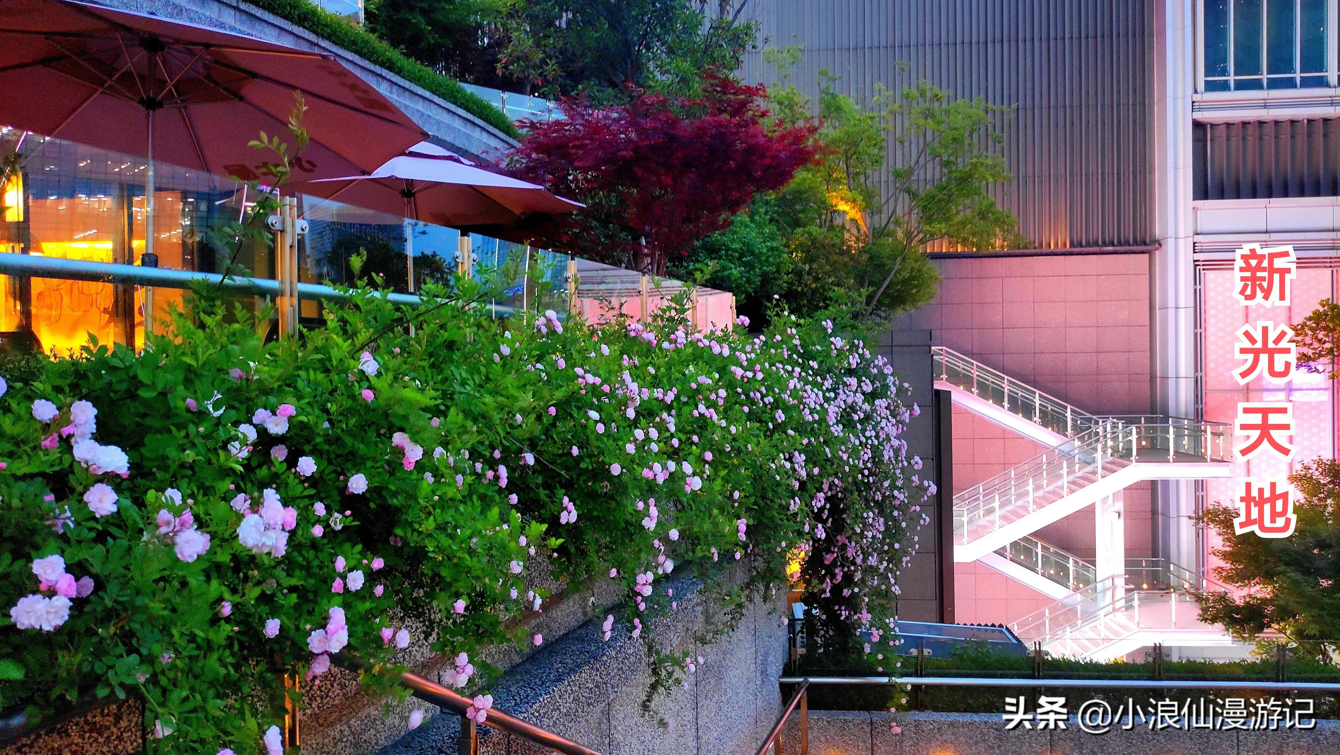 苏州免费景点排名榜前十名,苏州60岁免费景点大全