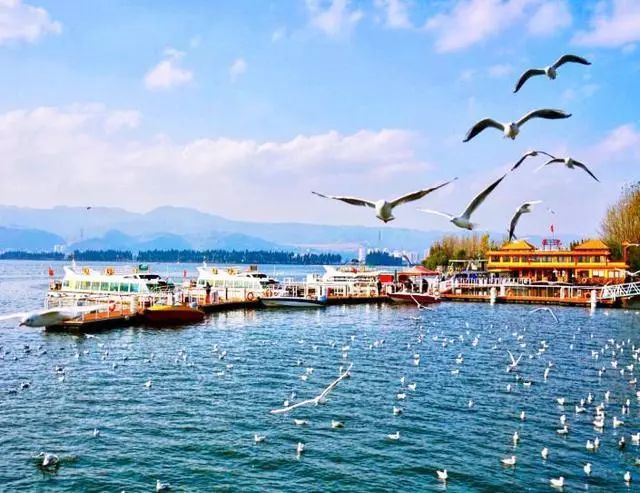 云南有个奇怪的部落,云南最奇葩的部落是什么