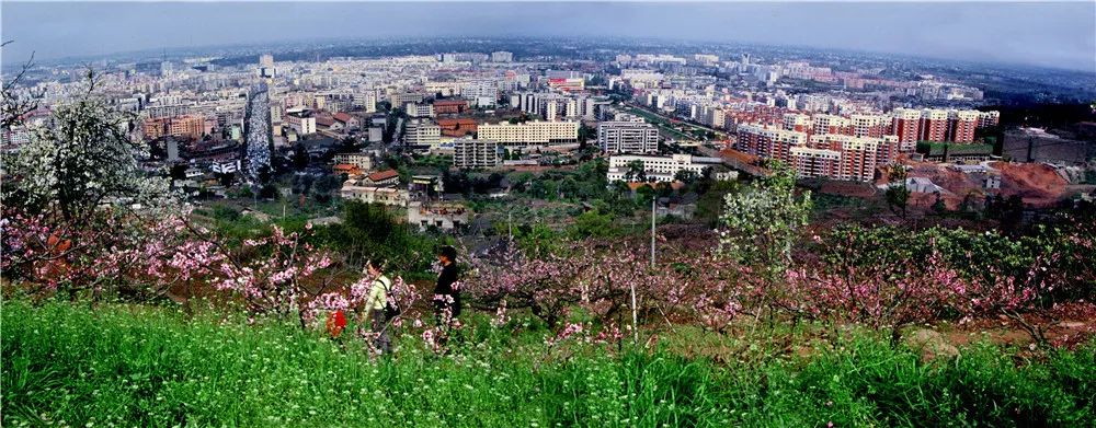 龙泉驿区的发展规划,龙泉驿区庆祝建党100周年活动