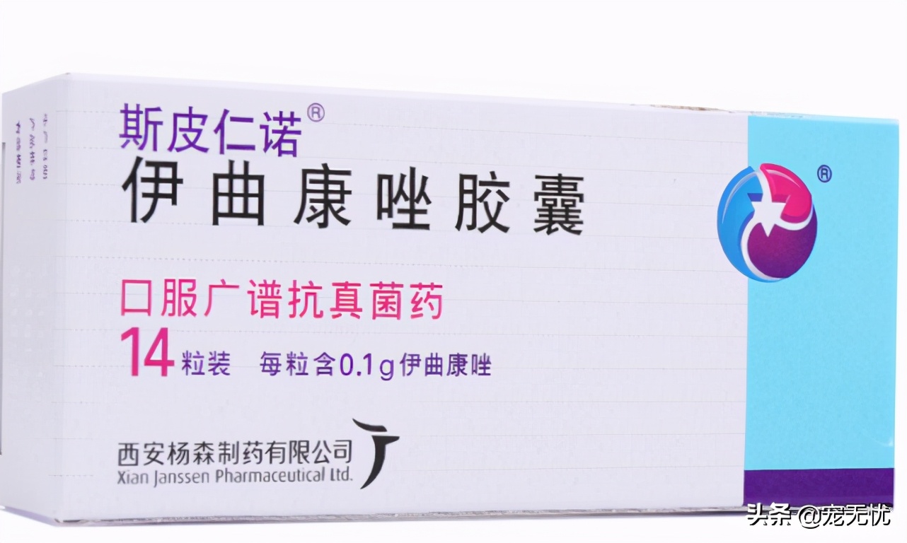 猫咪感染猫癣？不要急，这篇文章全部给你解决