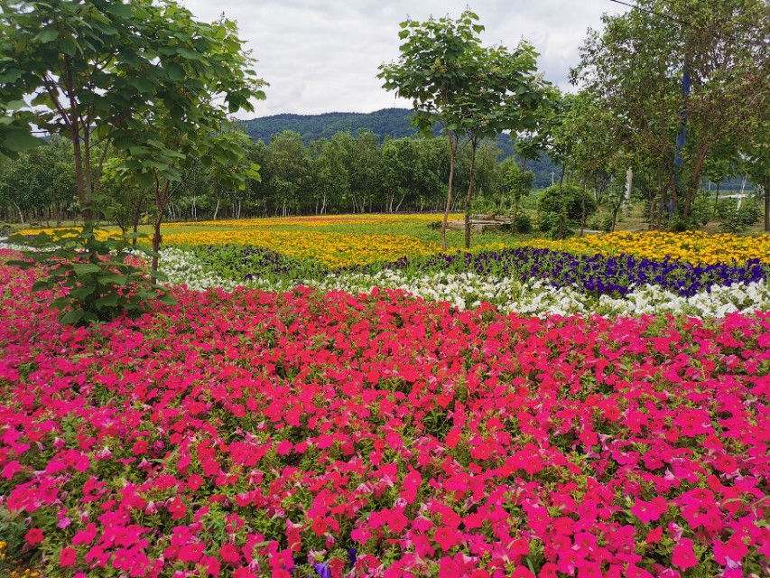 沈阳棋盘山房价,沈阳棋盘山门票
