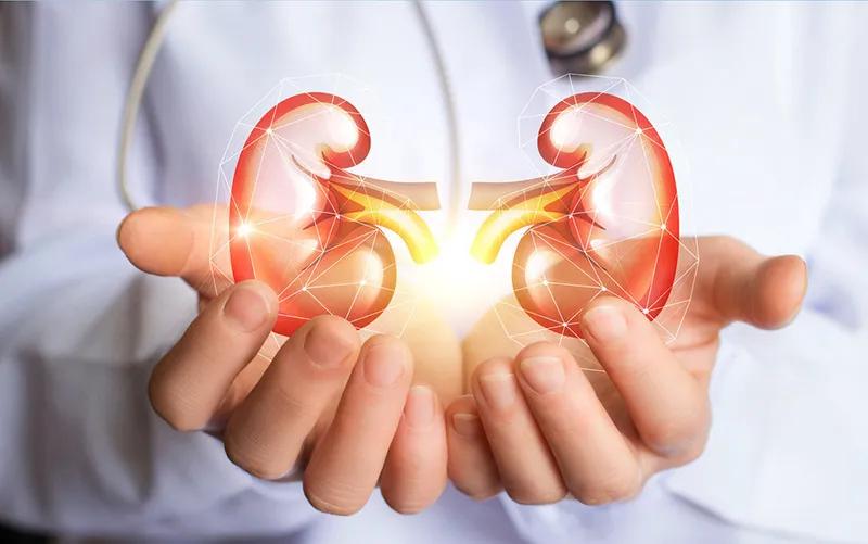 紫癜性肾炎需要多久治疗好,紫癜性肾炎一般要治疗多久