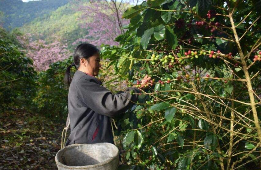 拼多多被商家污蔑怎么办,拼多多被人恶评怎么办