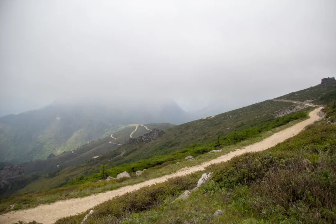 秦岭光头山至鹿角梁穿越路线,秦岭西观音山徒步登山路线攻略