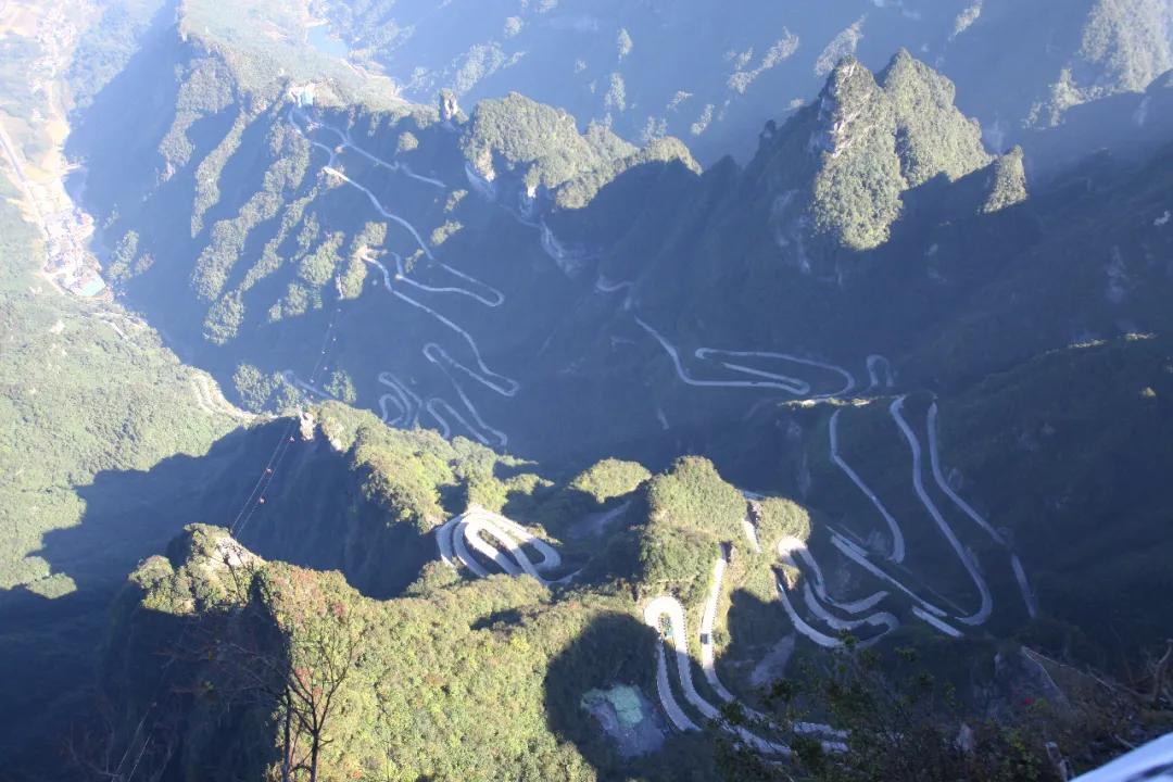 带你了解翼装飞行,翼装飞行为什么还能由低而高