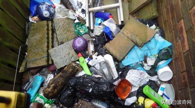 不喂狗会复位吗,不喂狗的下场