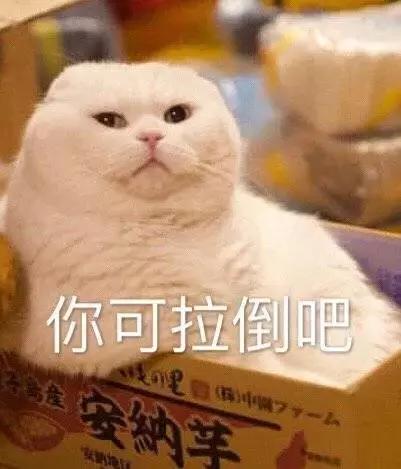 那些年我们笑的撕心裂肺,那些年我们开怀大笑