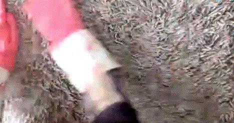 衣服粘了毛絮快速清除,洗衣机洗出来的衣服粘毛怎么办