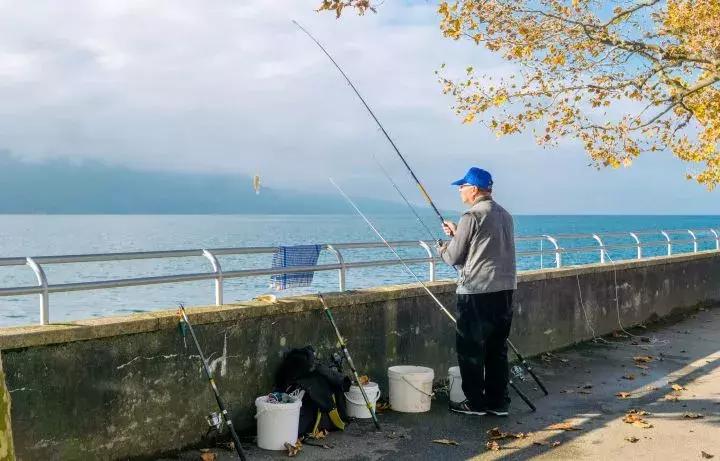 10级代购达人才会知道，这个国家的好货最多！