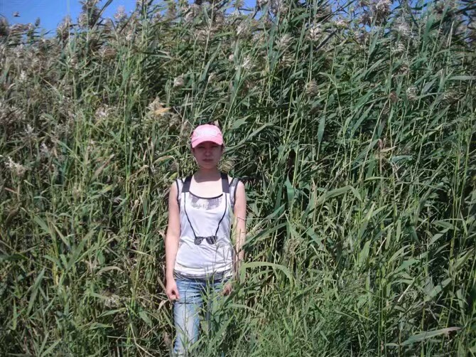 岱海旅游景区,岱海一日游日记