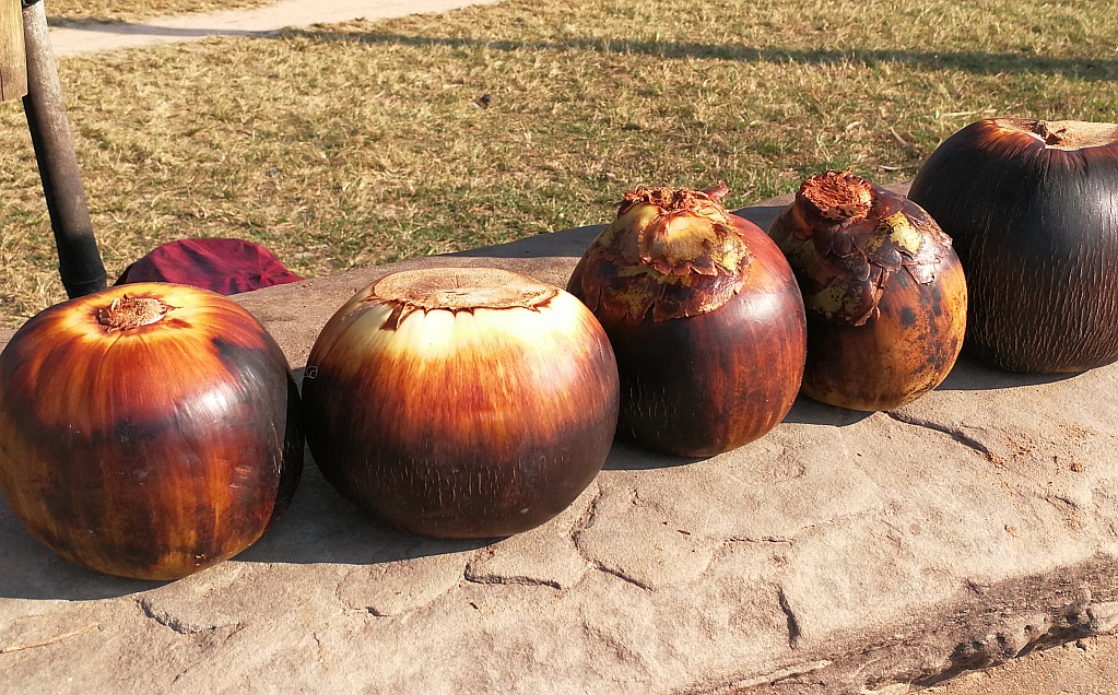 柬埔寨都有啥水果和特产,柬埔寨那些奇葩水果