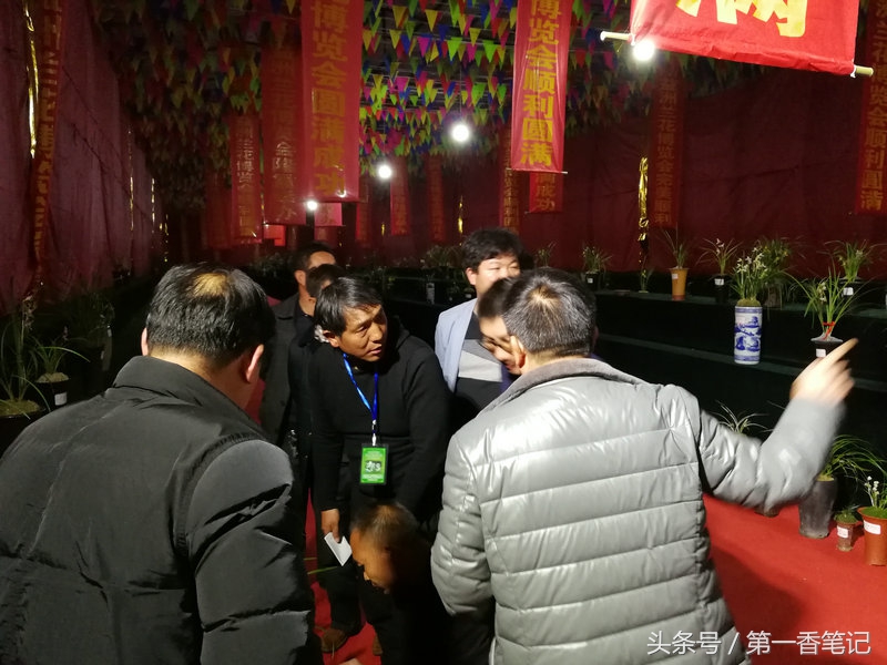 2018年昆明兰花展精品图片,云南兰花展作品欣赏