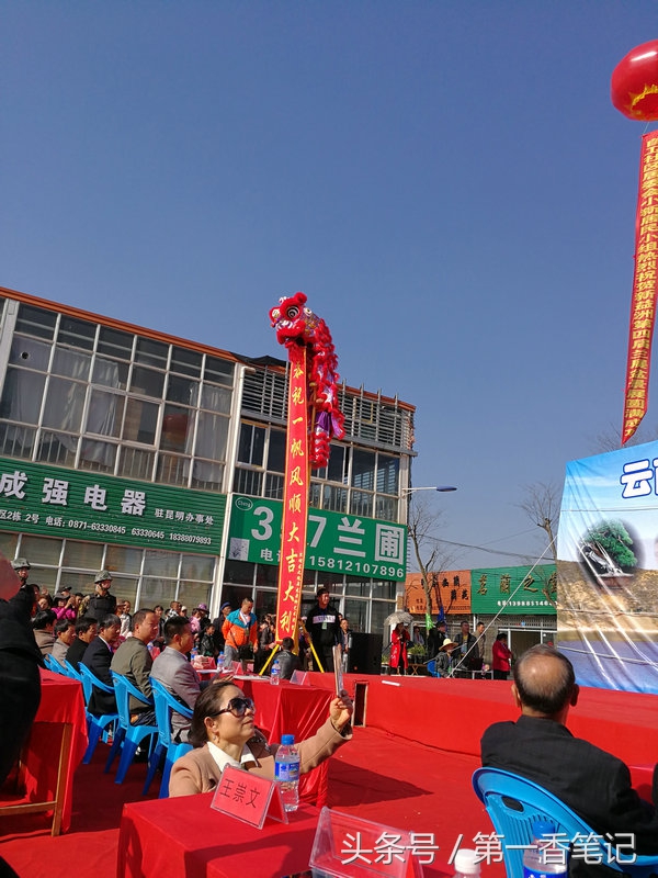 2020年云南兰花展获奖图片,2018年昆明兰花展精品图片